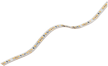 Ledstrip, Häfele Loox5 LED 2065 12 V 8 mm 2-pol. (monochroom), 120 leds/m, 4,8 W/m, IP20