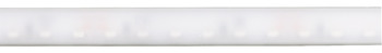 Ledstrip in siliconenslang, Häfele Loox5 LED 2099 12 V 2-pol. (monochroom) straling naar de zijkant, voor groef 4 x 10 mm, 120 leds/m, 9,6 W/m, IP44