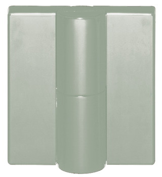 Schroefpaumelle, Hewi B 9505.75 K, voor stompe binnendeuren tot 80 kg